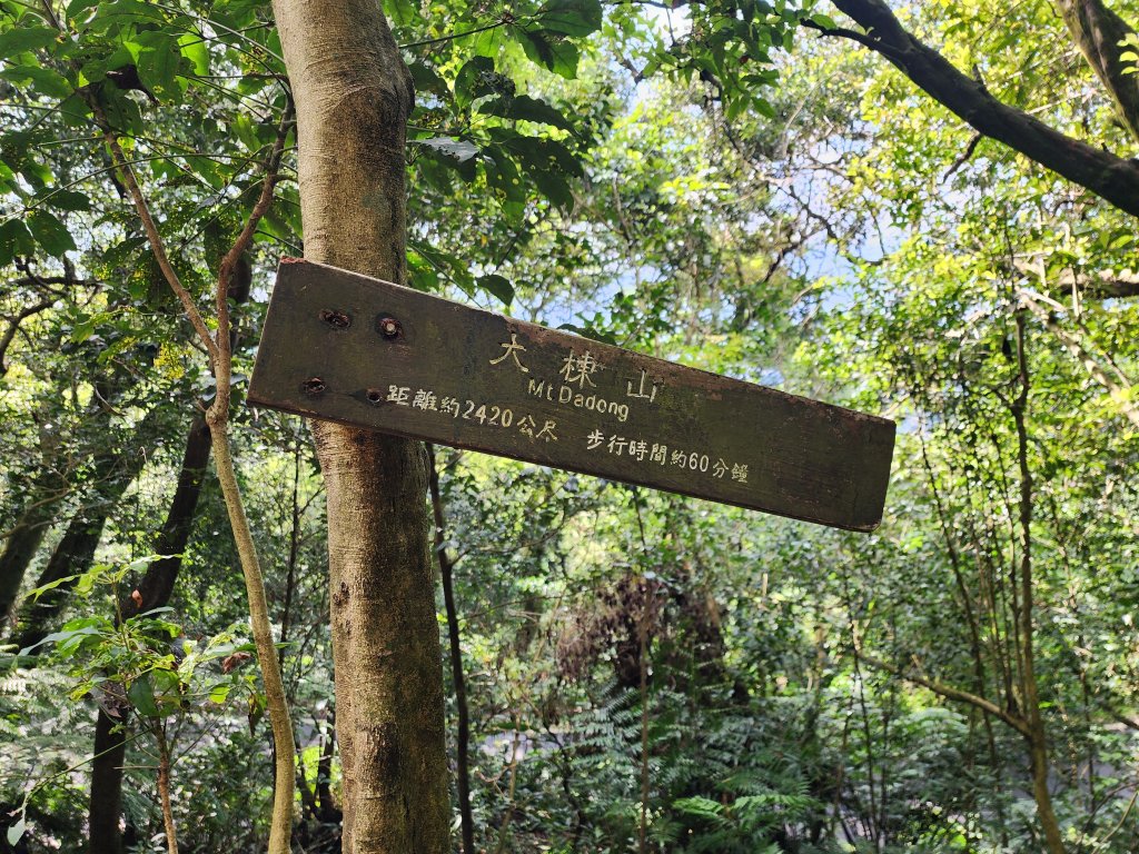 小百岳No.15⛰大棟山(龜崙山)_2849761