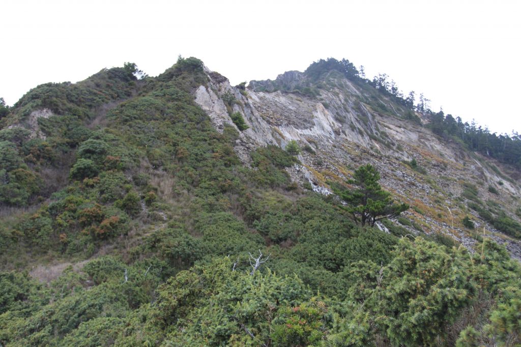 干卓萬群峰_174784