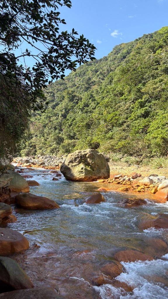 漫遊陽明山_2952057