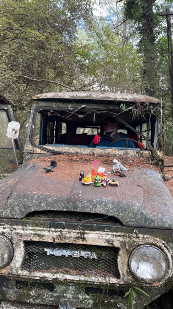 對關追龍貓🚌_1967739