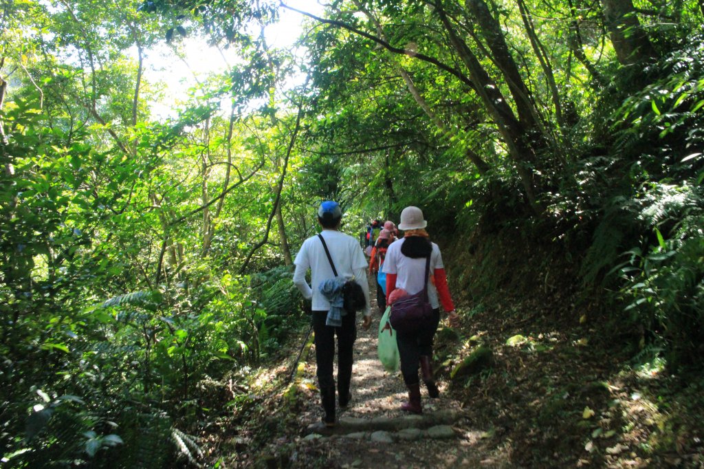 健行筆記望古嶺腳淨山活 20181028_445219