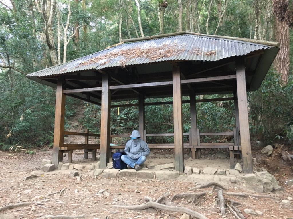 步道巡訪員│唐麻丹蝴蝶效應首步曲封面圖