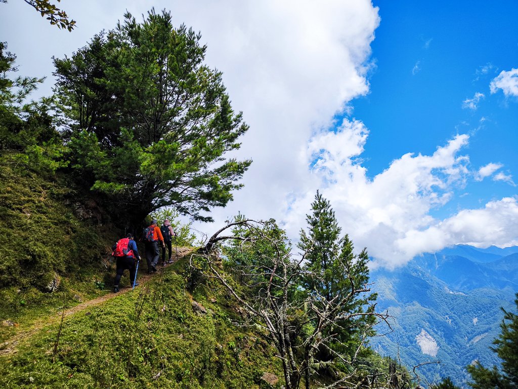 2025-08-24 塔塔加-大鐵杉-鹿林山莊-鹿林前山-鹿林山-黑森林-玉山登山口-上東埔_2869170