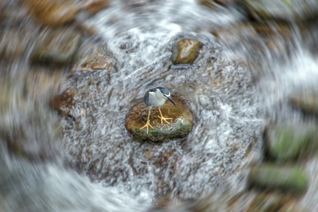 暖東峽谷/草嶺舊隧道_2816504