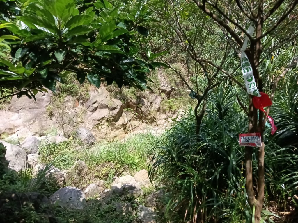 瑞芳區驚險驚嚇+短暫迷途的半屏大瀑布(瀑布稜)+小錐麓古道_2886082