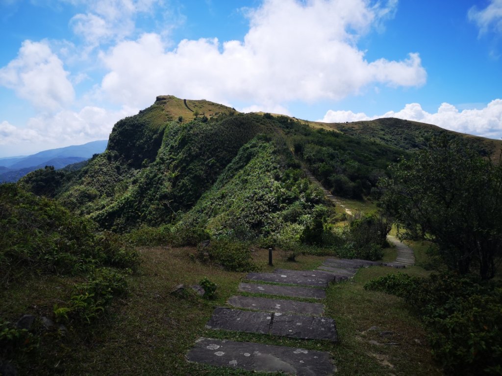 大里天公廟～埡口_1829267