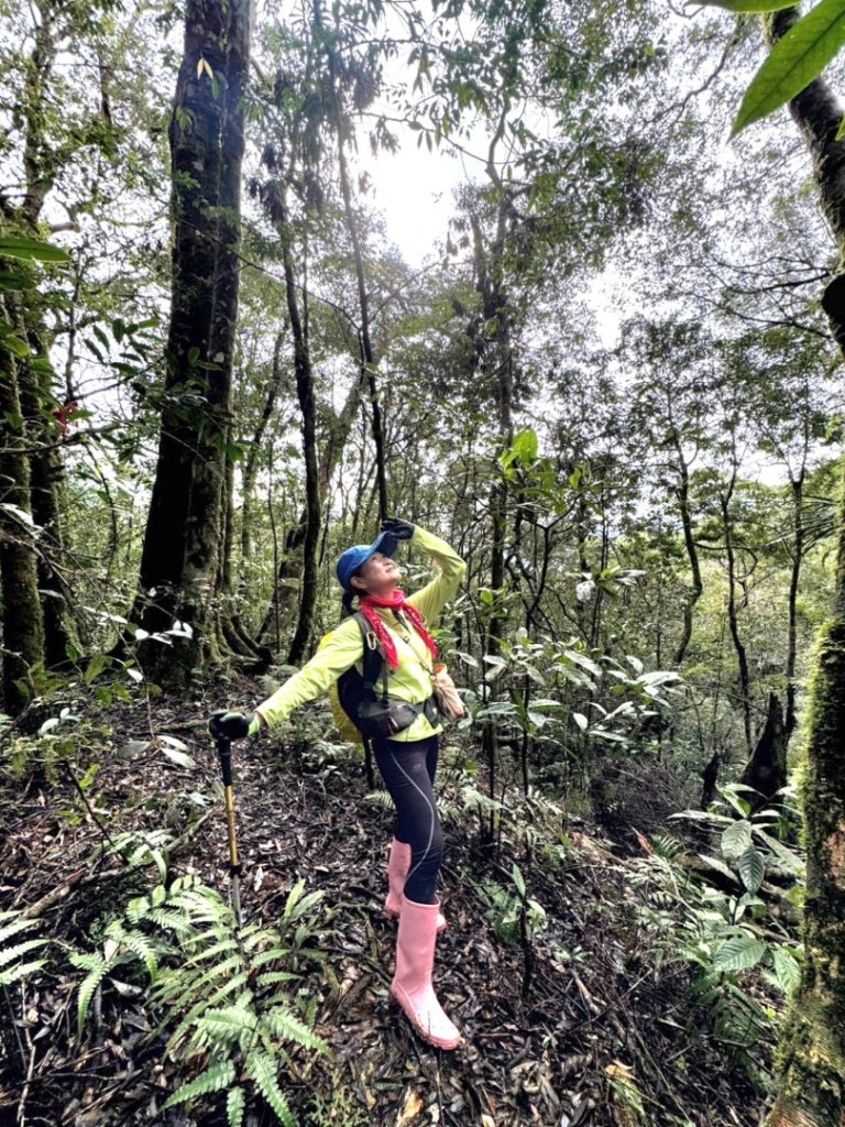 【北插天山】福山上北插天山(整理山徑架繩索布條完工)_2689821