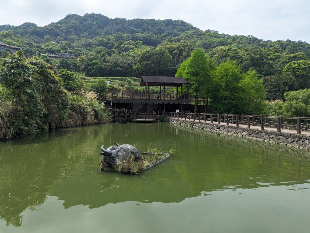 臺北大縱走第七段：政大飛龍步道到指南宮竹柏參道_2477030