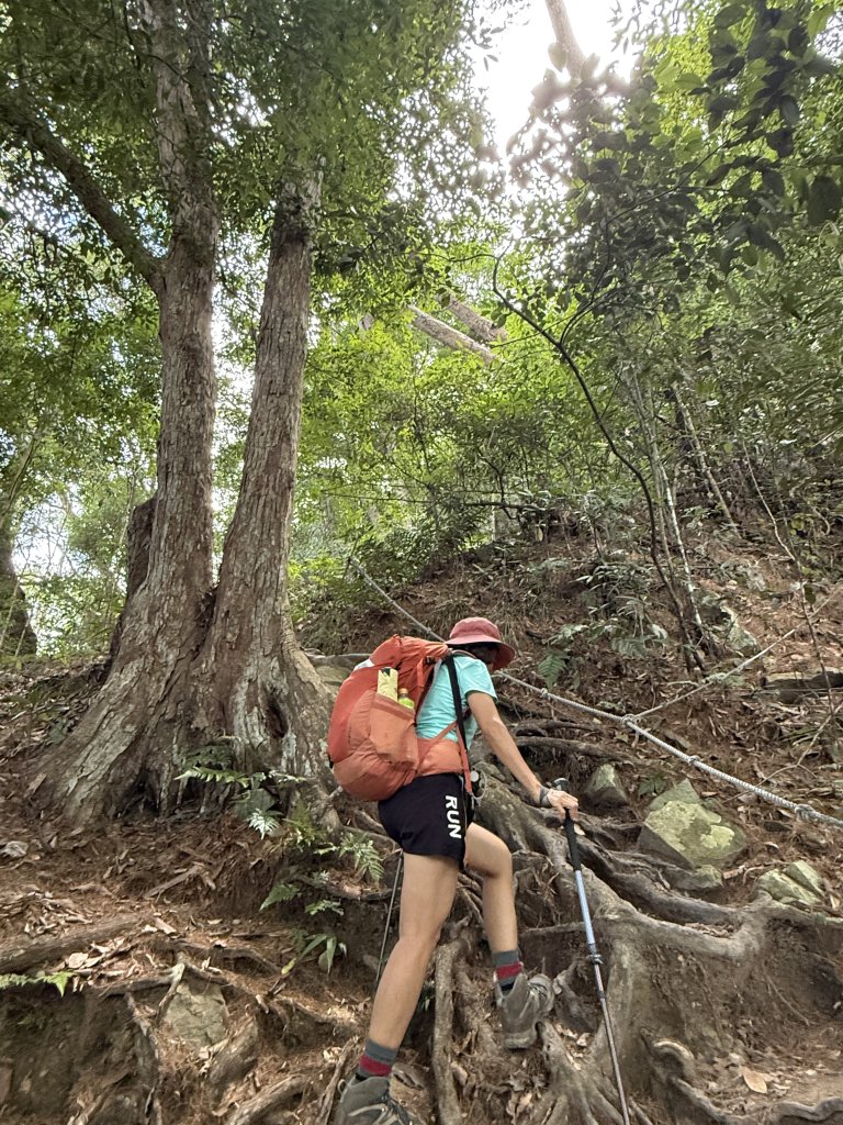 唐麻丹+蝴蝶谷O繞_2887829