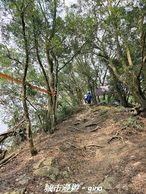 【屏東瑪家】小百岳笠頂山步道_3013109