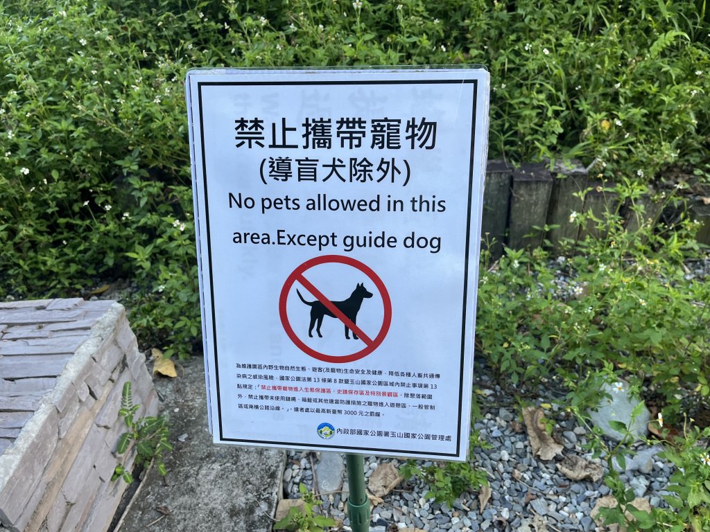 [玉山尋寶任務-03/12] 2025_0810 瓦拉米步道_2857341