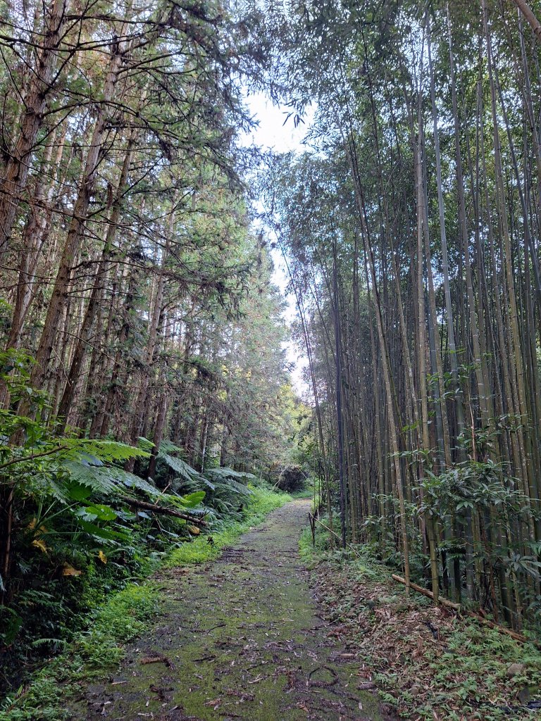 五峰鬼澤山20240929封面圖