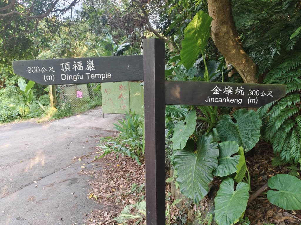 林口頂福巖森林步道_2838114