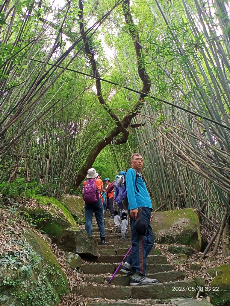 流水淙淙的坪頂古圳環狀步道→清風亭→大崎頭步道【走遍陽明山】_2156304