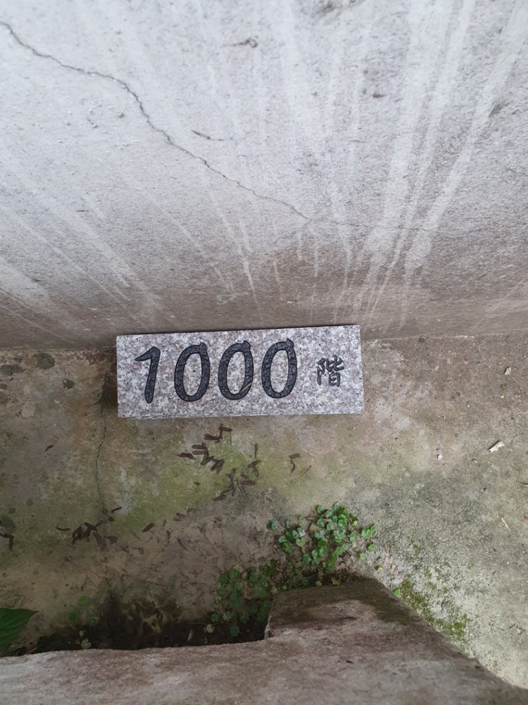 2020台北縱走第七段_995317