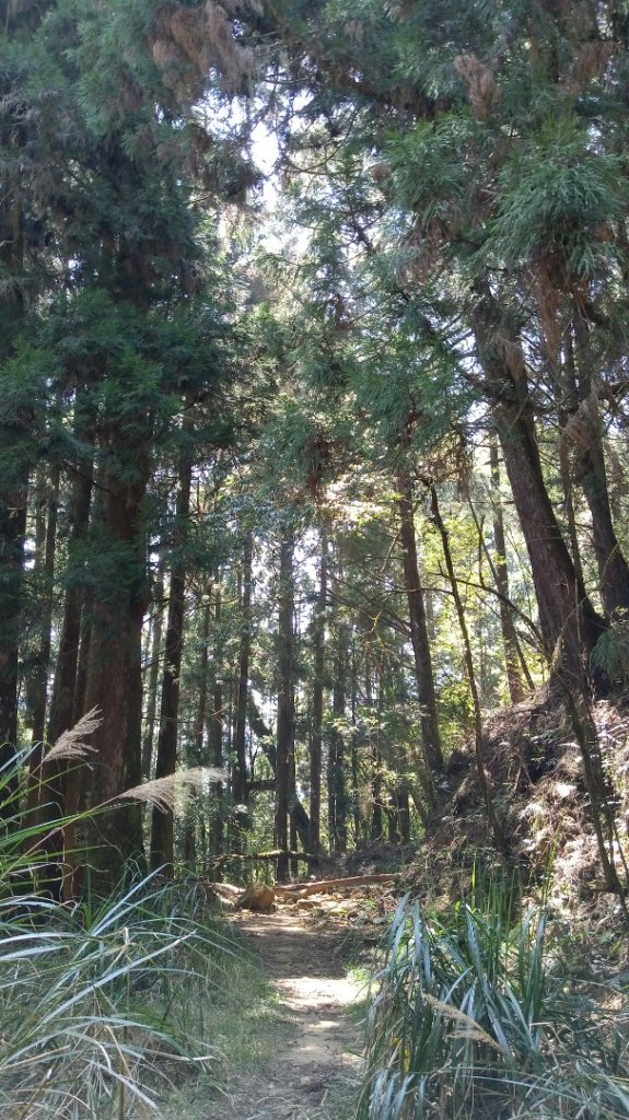 水漾鹿屈山輕鬆一日遊_662328