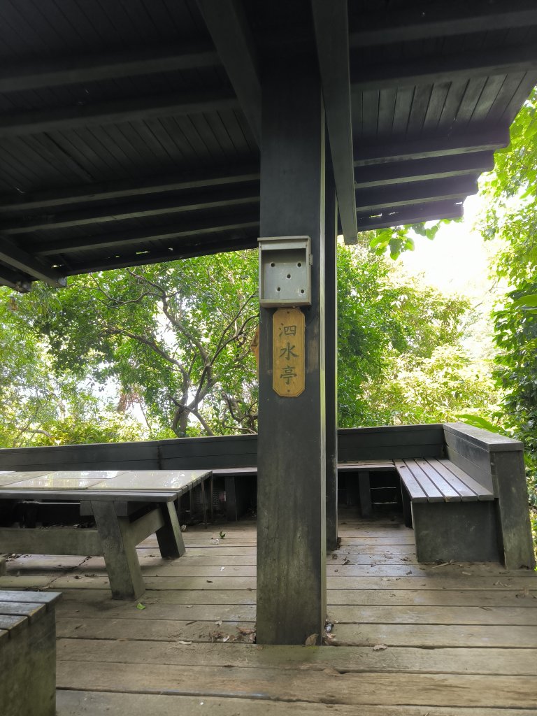 20250809樹迴縱走封面圖