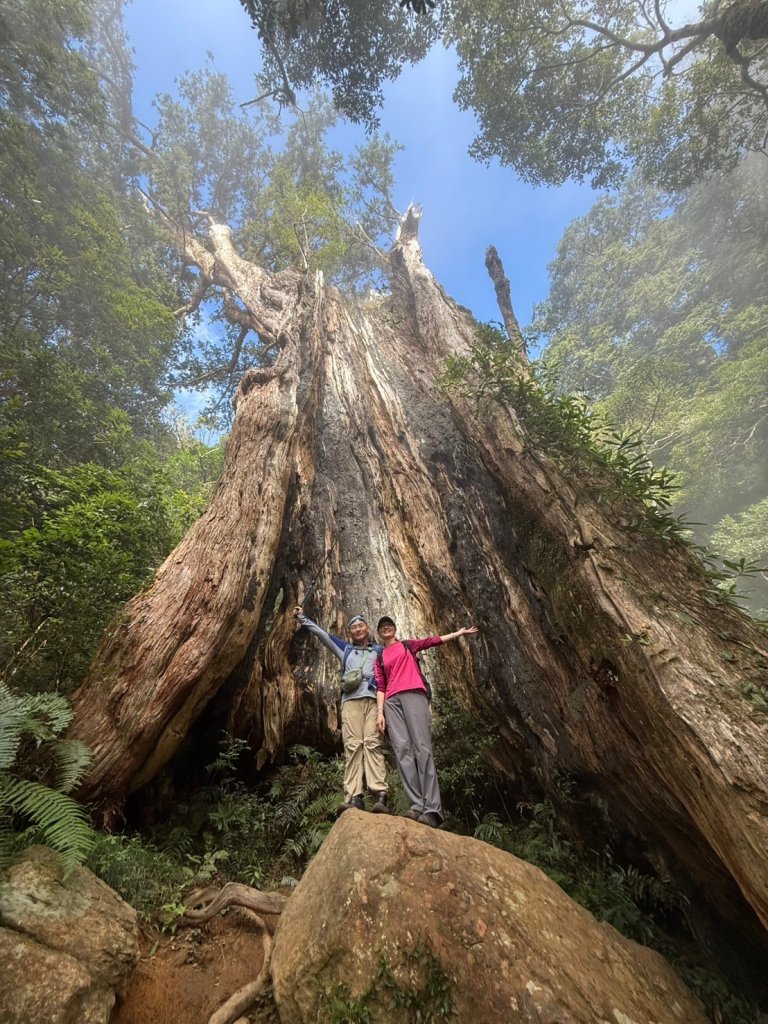 北得拉曼-內鳥嘴山_2664602