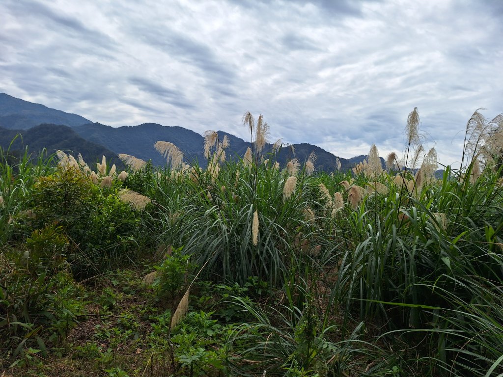 仙山古道群峰O型_2693703