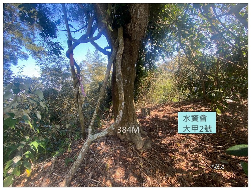 后里 七星山 新發現基石_2990064