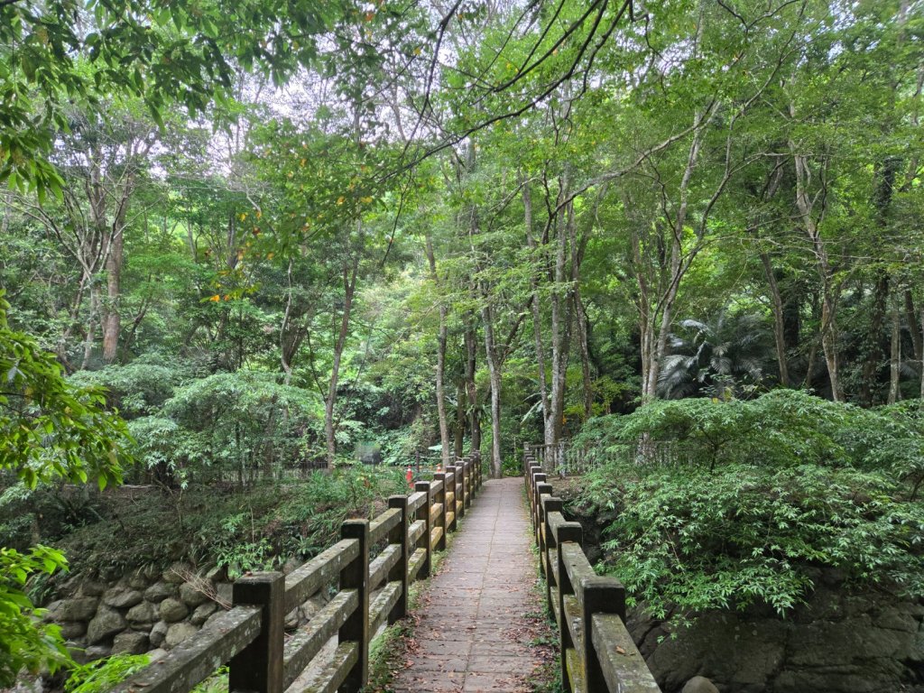 四十二份坪步道封面圖
