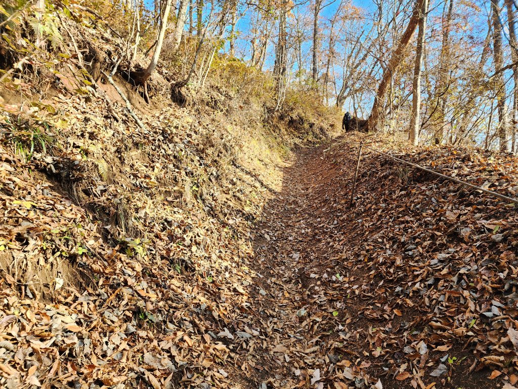 20251127陣馬山至高尾山_2959070