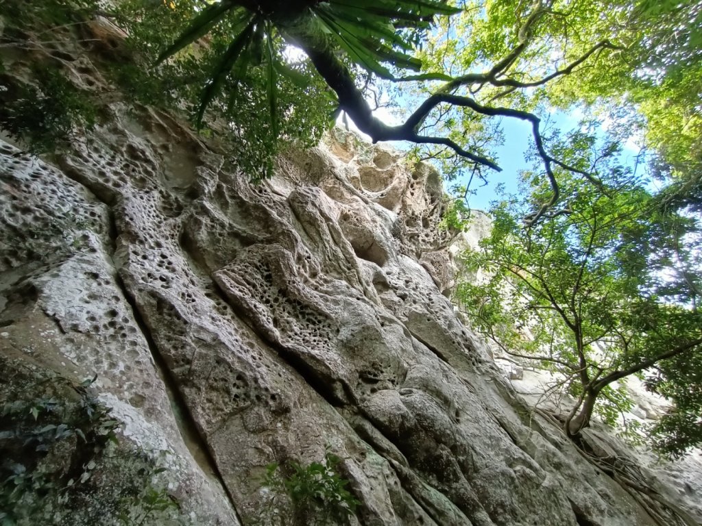 打鐵寮古道連走白石山（打石縱走）_1733668
