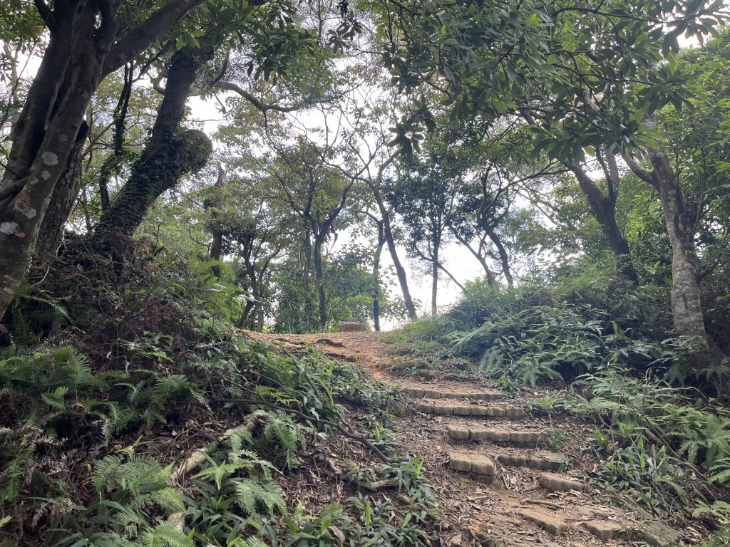 2024_0804 文間山_2566395