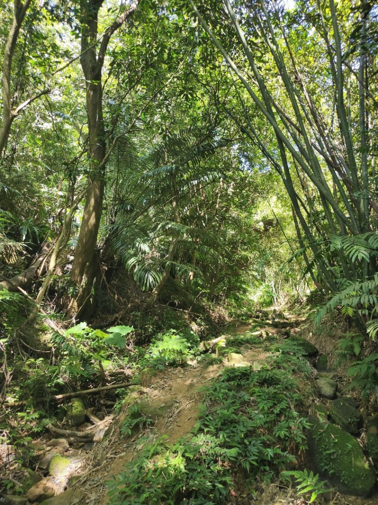 2023.09.24 樹鶯縱走_2486363