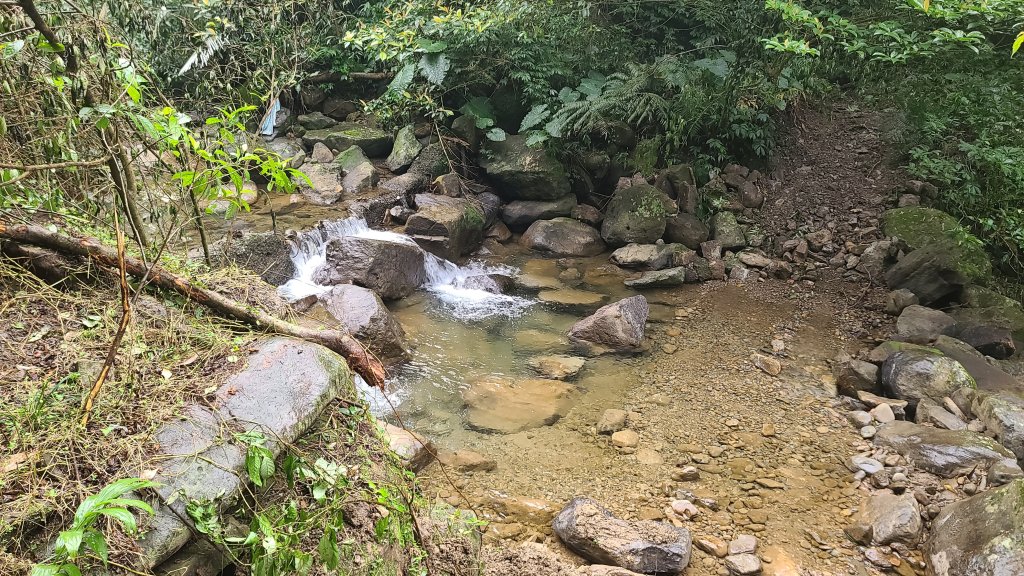 2025-01232淡蘭古道北二段(燦光寮古道到澳底)_2696555