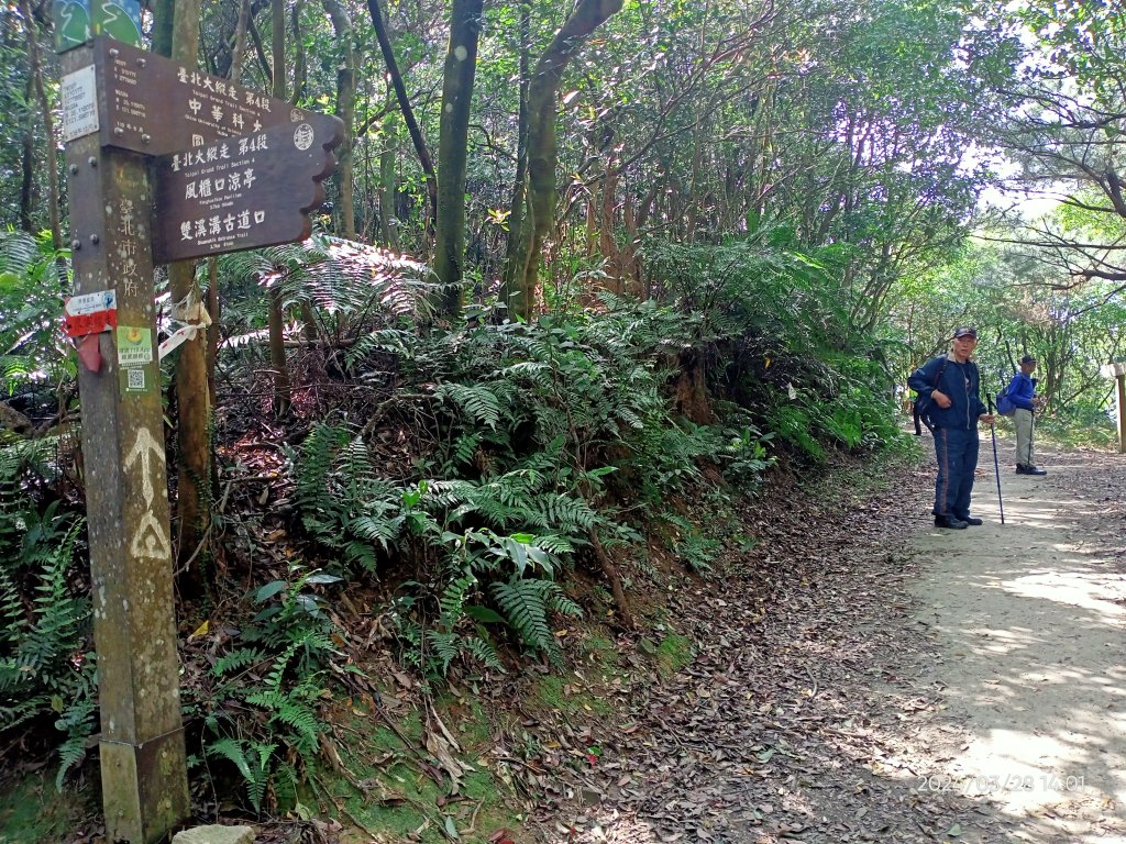 【臺北大縱走4】風櫃嘴→雙溪溝古道→五指山古道→大崙頭山北面步道→許願步道→圓覺寺步道→大溝溪→大湖_2469095