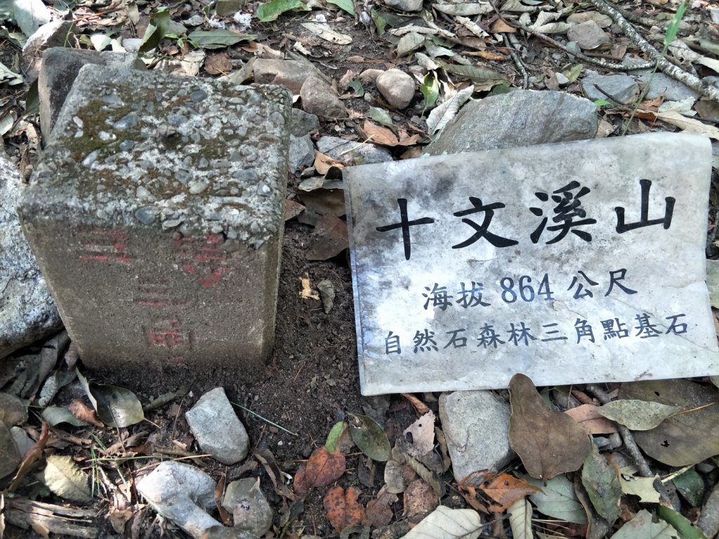 谷關七雄：屋東縱走-屋我尾山-麗陽上_1491963