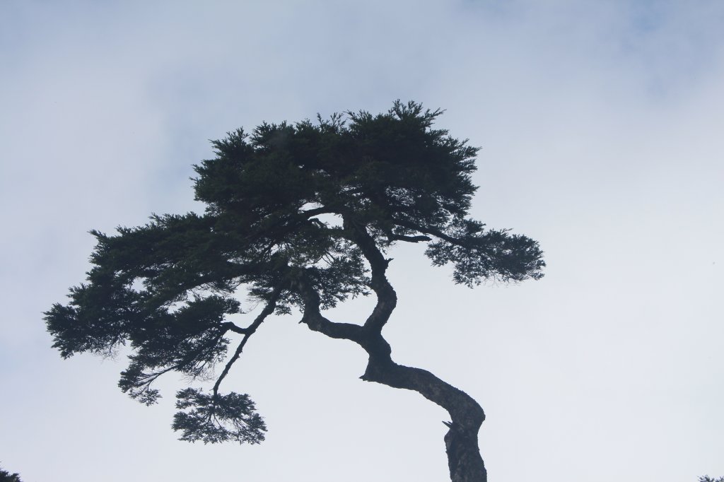 20231106高雄塔關山_2354098