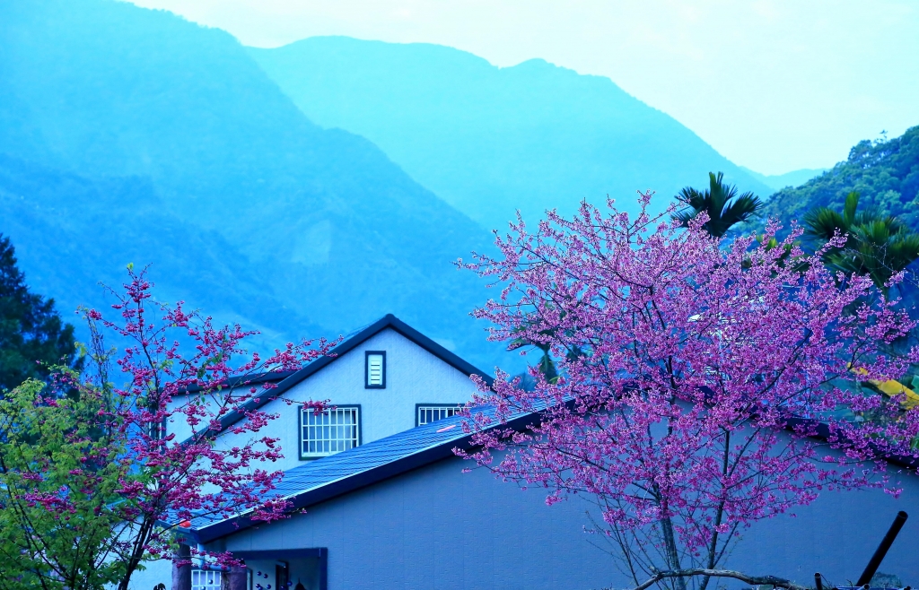 西巒大-郡大山-2016-3/5-6_32228