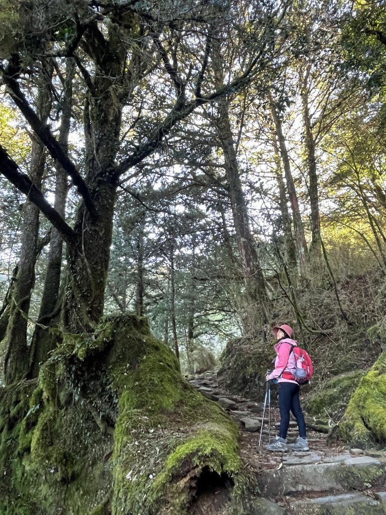鹿林山+石水山+東埔山 20240402_2481615
