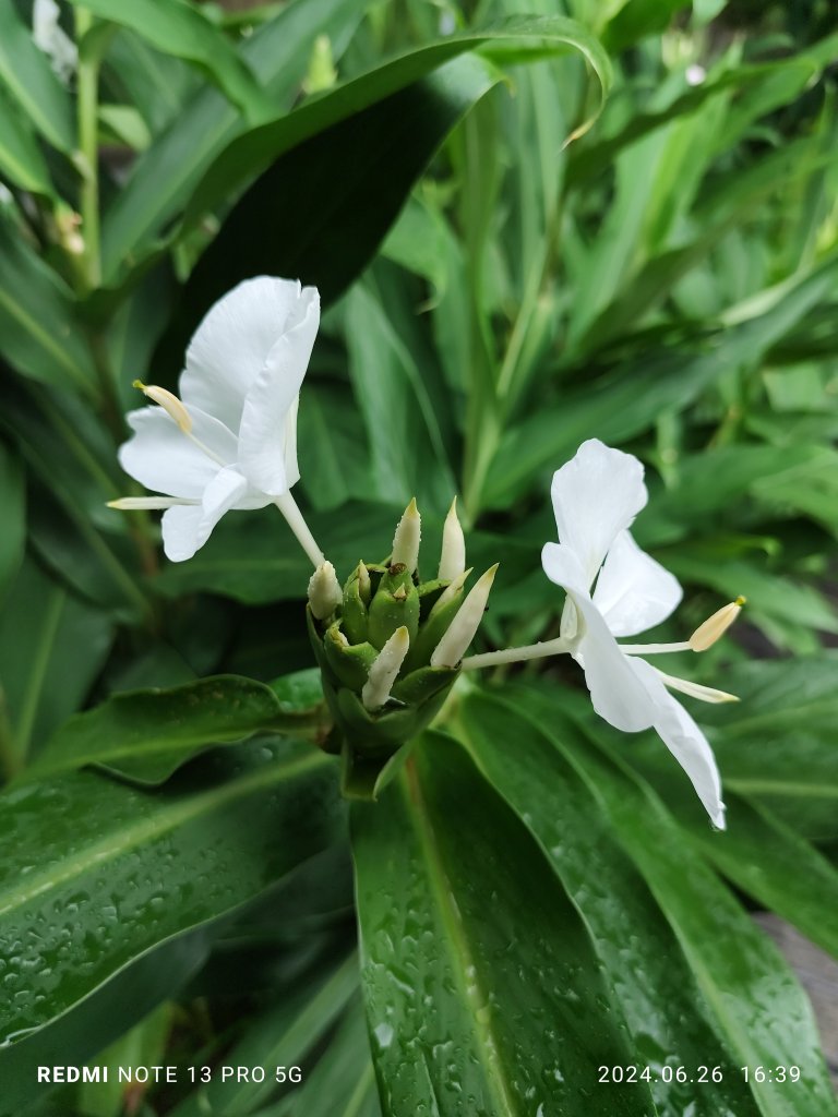 大安森林公園【走路趣尋寶】【臺北健走趣】_2536292