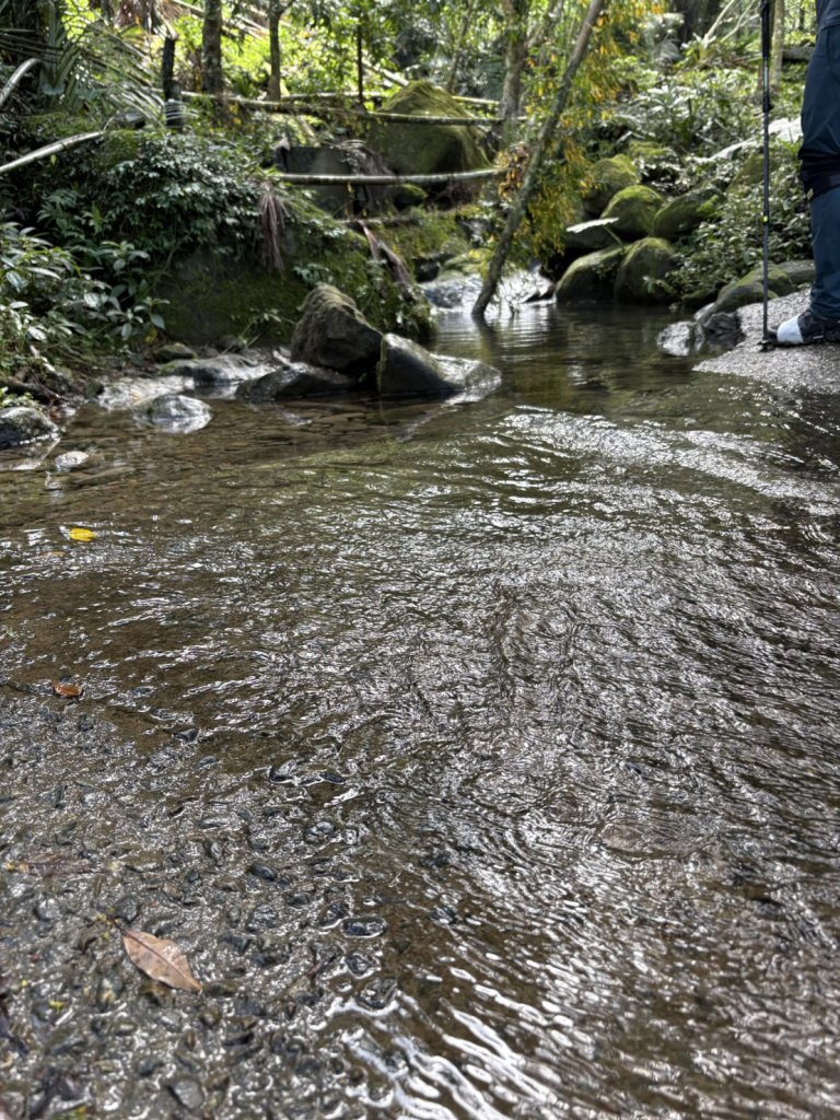 20250830台南關仔嶺大凍山步道_2914684