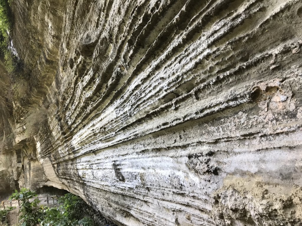 110年5月2日嘉義    青年嶺&雲潭步道_1456694