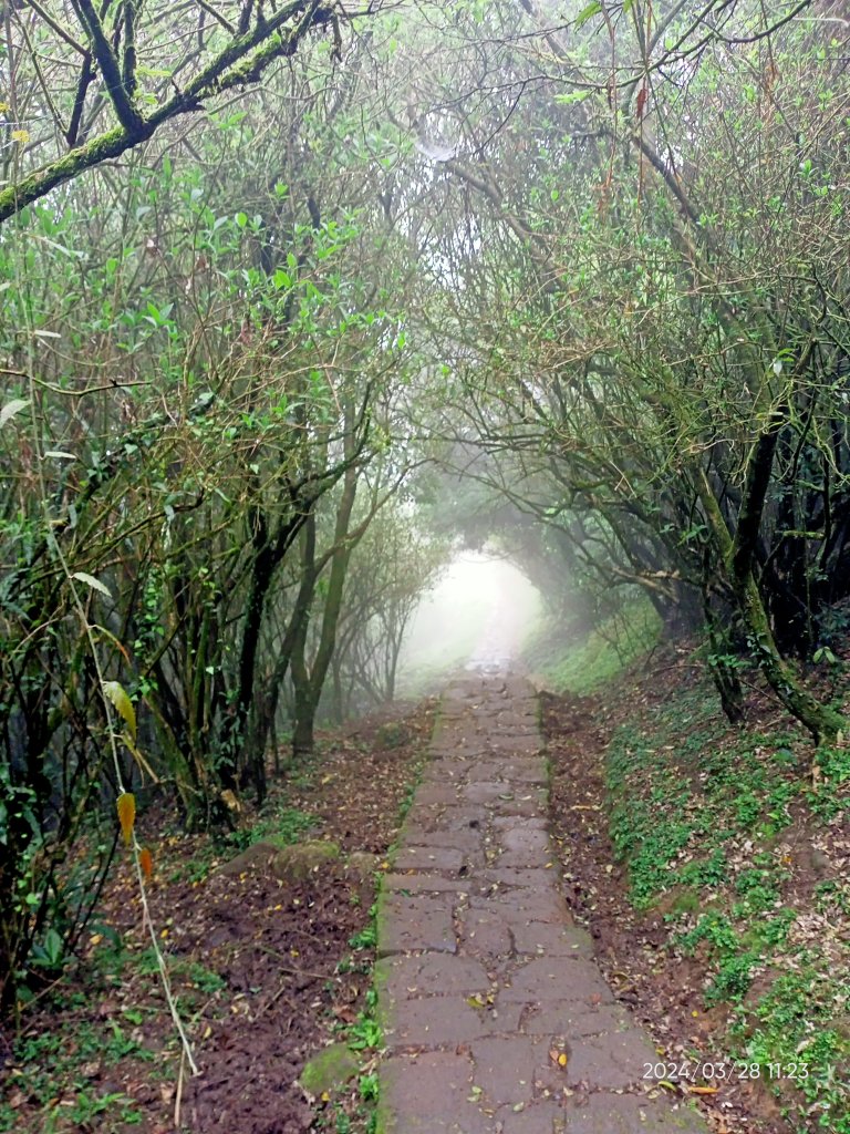 【臺北大縱走 3】擎天崗→石梯嶺→頂山→風櫃嘴_2468790