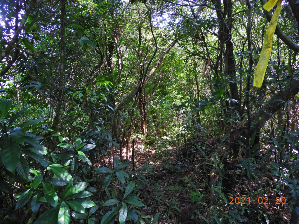 宜蘭 頭城 窖寮山(未竟)_1278623