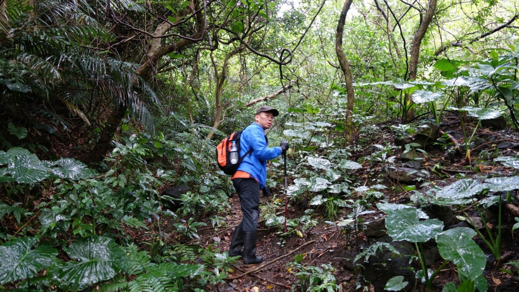 港仔尾連峰、酋長岩、蕃仔澳山、象鼻岩連走_94102