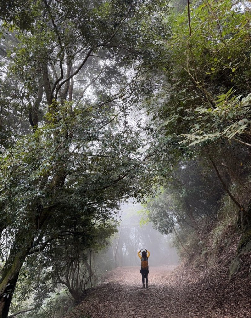 雪霸國家公園 雪見遊憩區 東洗水山_2928557