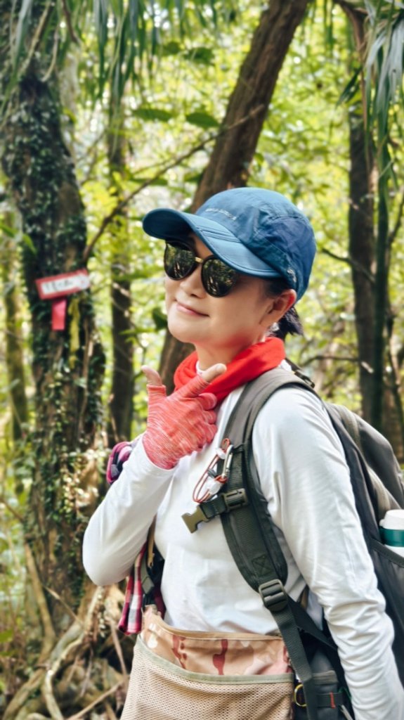 東勢大崙、東勢坑山、觀音湖山O走_2986289