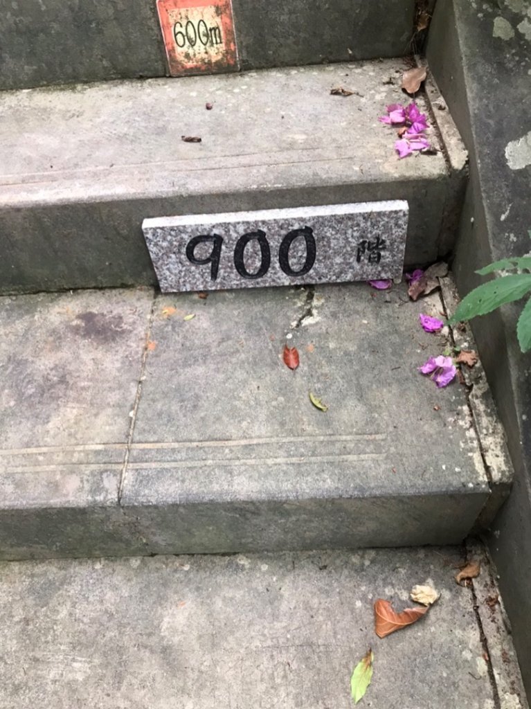 2020台北縱走第七段_995318