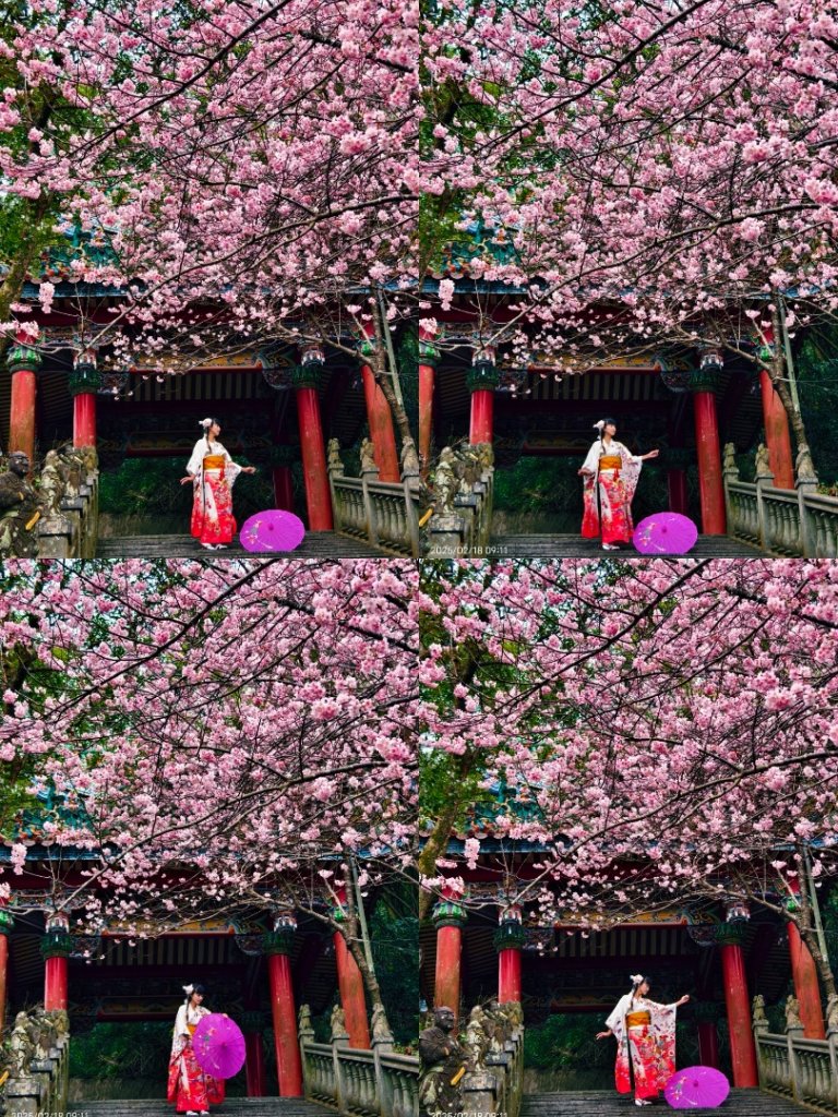 內湖碧山巖 2/18_2714845