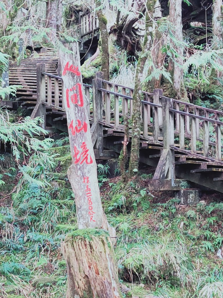 太平山檜木原始林步道_1293025