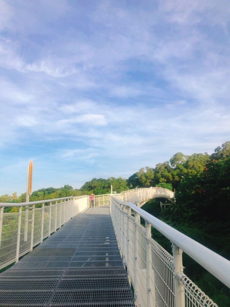 早晨的八卦山天空步道_376875