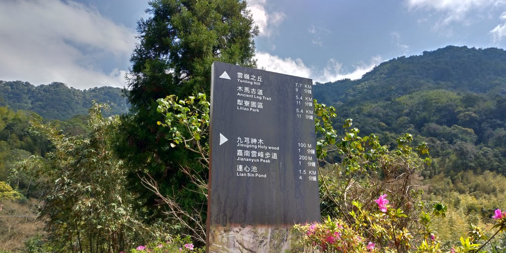 109.2.26雲嶺之丘+石壁賞櫻_855922