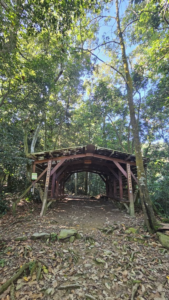 【12訪尾寮山-魔王小百岳】哥走的不是山，走的是平靜與滿足。_2900567