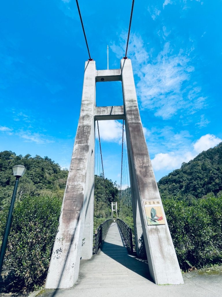 20250227 鳩之澤自然步道封面圖